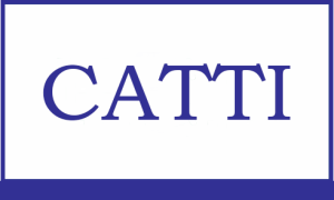 CATTI (или China Accreditation Test for Translators and Interpreters)
