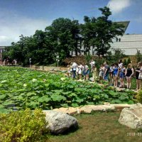 Летний лагерь в Даляне 2018